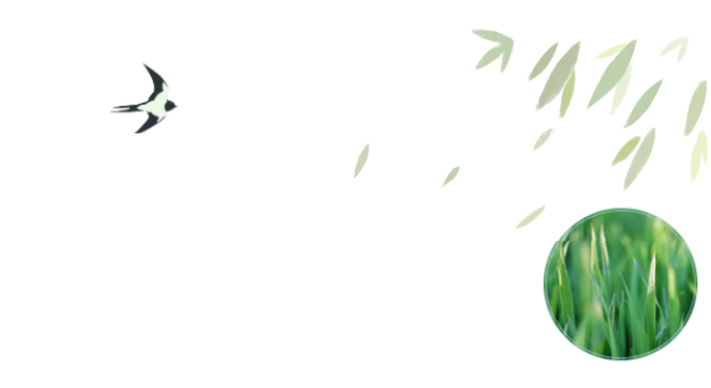 员工随笔丨抗“疫”过年，，，各人都还好吗？？