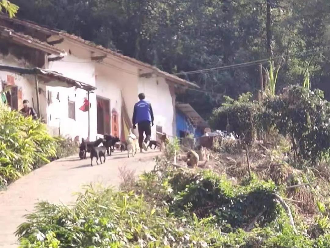 阳春房地一体项目纪实丨无悔青春多砥砺，，，最是奋斗感人心