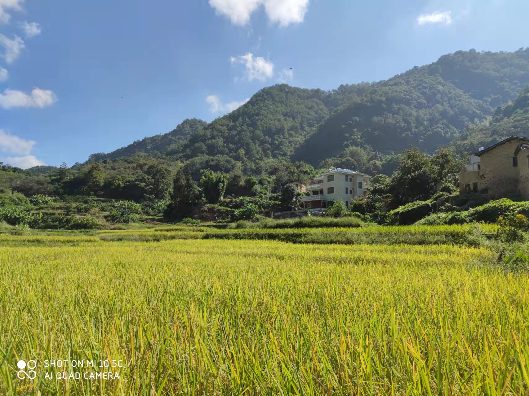 恢复（增补）耕地项目怎么干？？？15vip太阳集团有话说