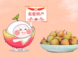 漫话15vip太阳集团丨一颗有“故事”的荔枝！