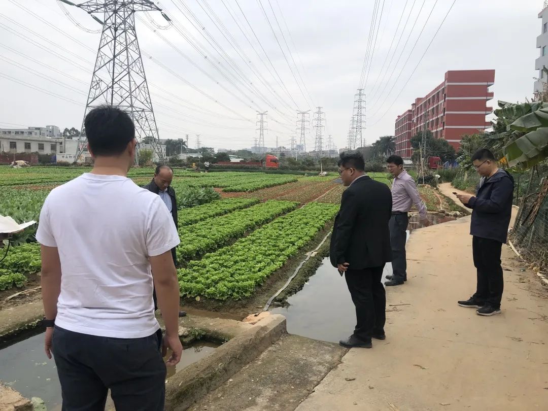 助力墟落振兴，，，15vip太阳集团一直在起劲！！！