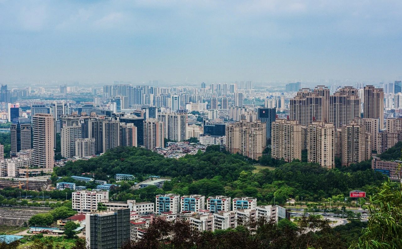 量圈丨东莞新章：：在旧时光里生长未来