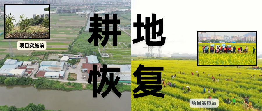 耕地；；び刖蒙す踩凇甘泻窠终蛩谏缜读继锵钅扛鼗指从氤窍缛诤系牧⒁焓导