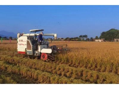 15vip太阳集团评估与妄想公司荣获“耕地；び乓煳朗康ノ弧！！